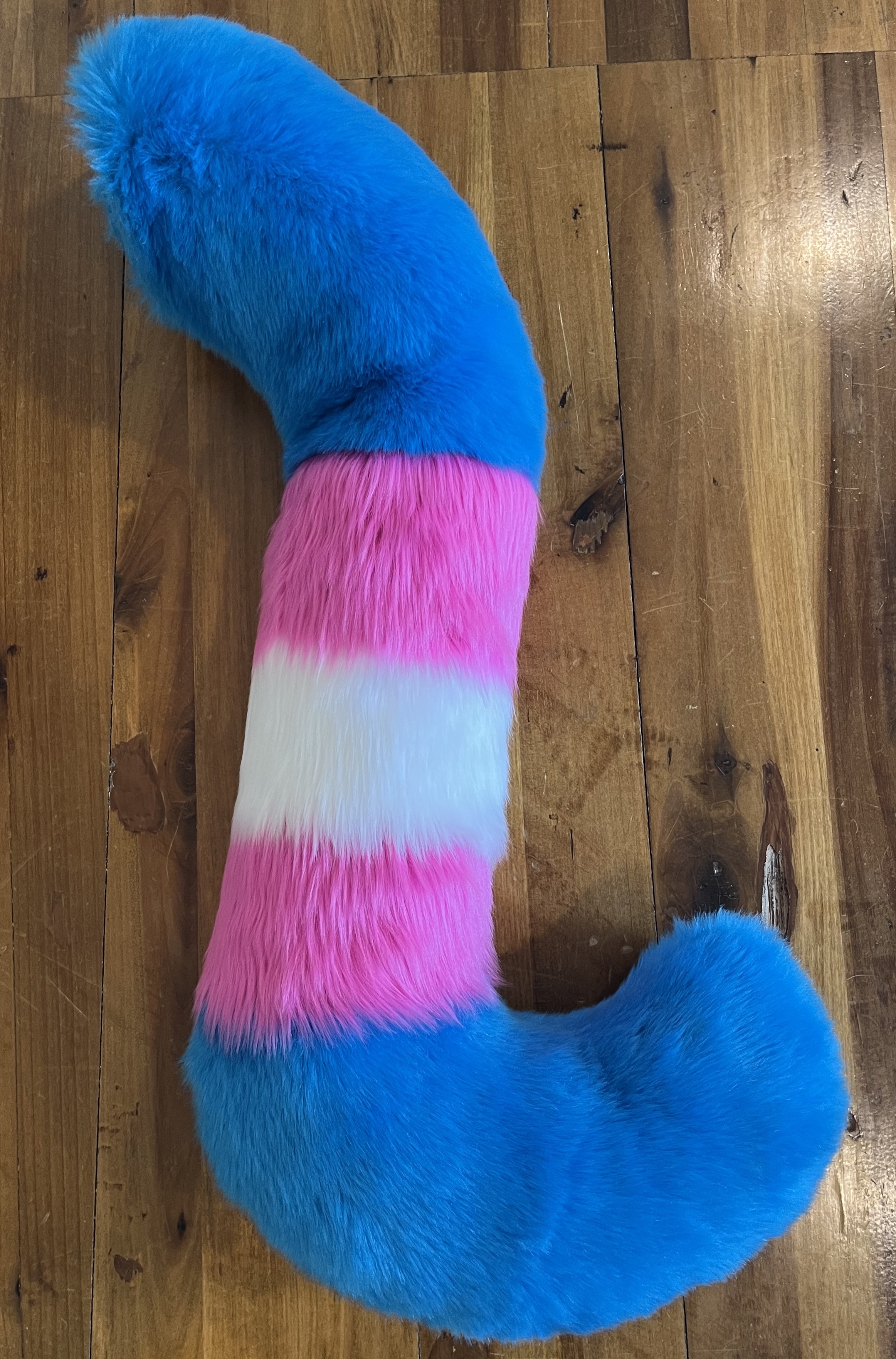 A long trans flag patterned tail, laying on a wooden table